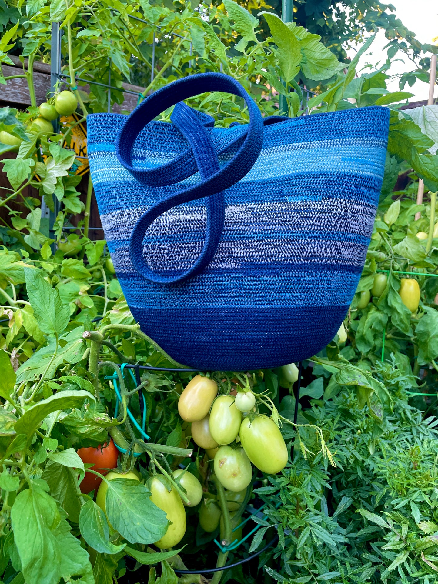 Cerulean Foraging Basket