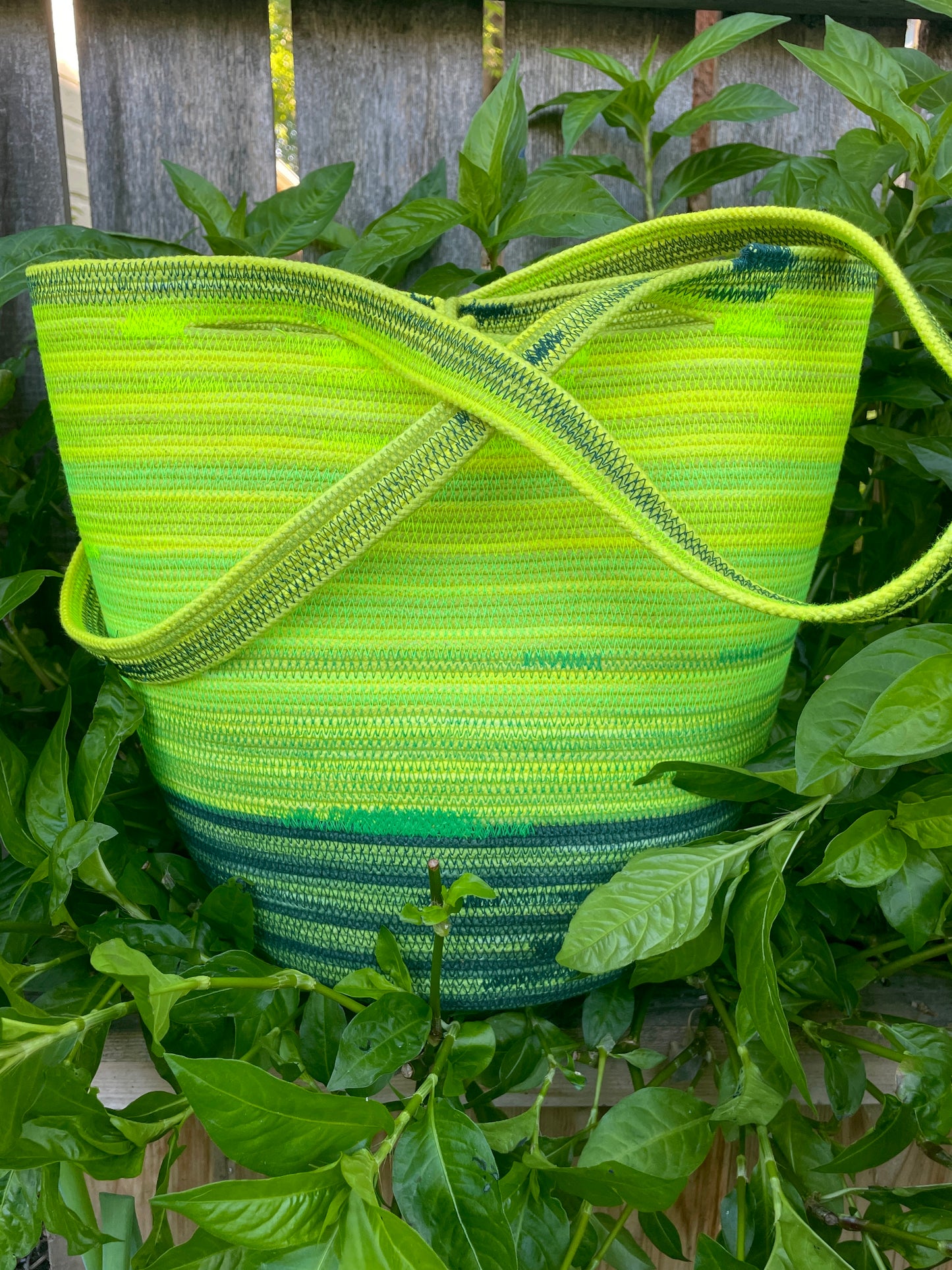 Makrut Foraging Basket