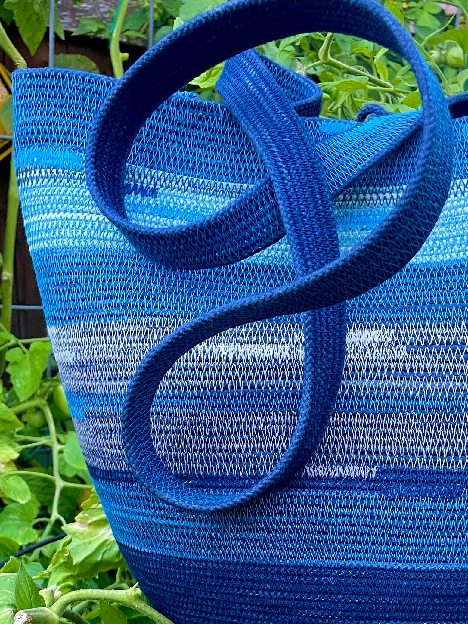 Cerulean Foraging Basket
