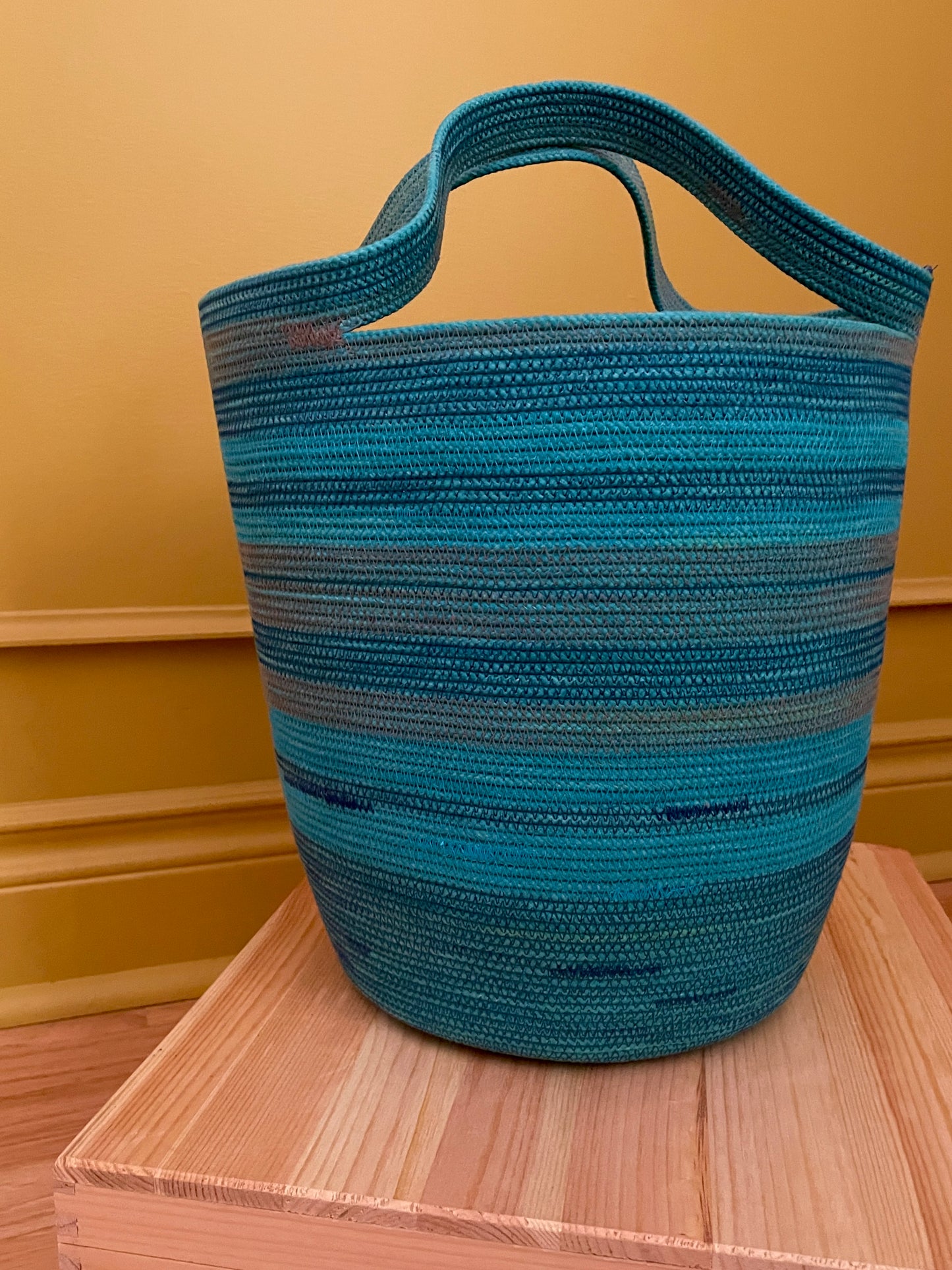 Callaina Market/Project Bag