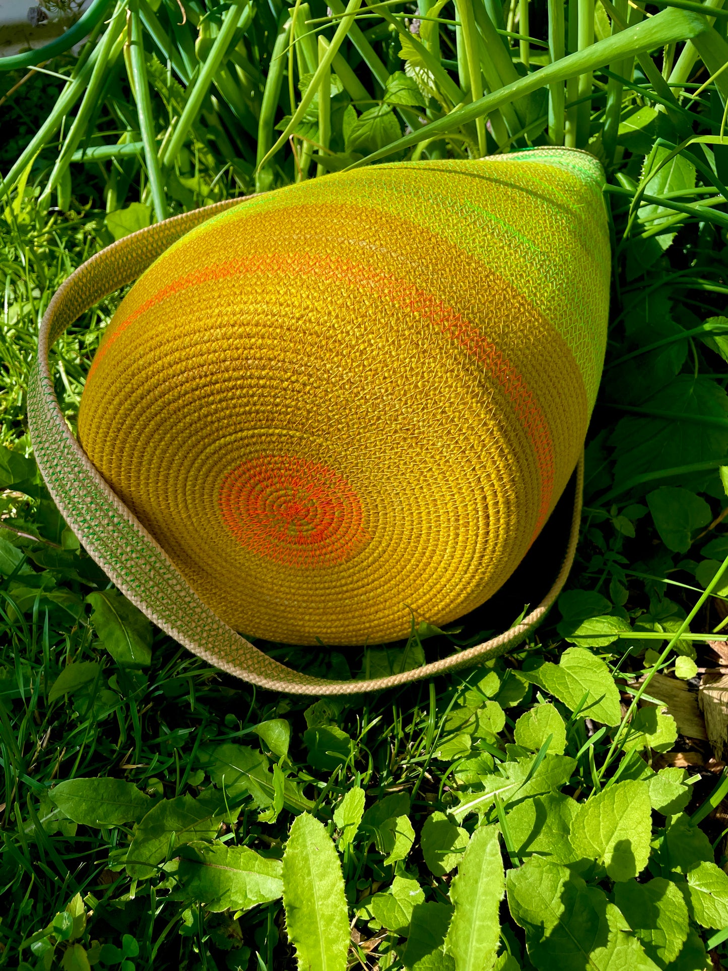 Joy Pop! Foraging Basket